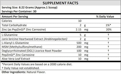 TERRA ORIGIN Healthy Gut Powder Vegan Formula | with L Glutamine, DGL Licorice Root Powder, MSM | Bloating and Leaky Gut | Gut Health for Women and Men | 30- Servings