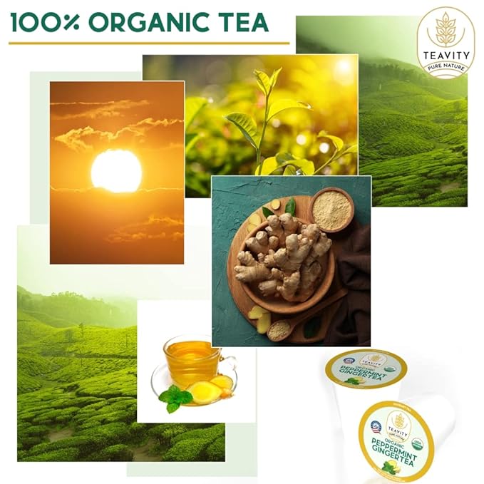 Organic Ginger Tea Pods for Keurig with Organic Peppermint Tea - Decaf Tea for K Cup Brewing Peppermint Ginger by Teavity (36 Tea Pods)