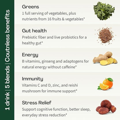 Daily Greens Superfood Powder | 5 Functional Blends for Gut Health | Energy & Immunity Support | Prebiotics, Probiotics, Adaptogens| 30 Packets | Citrus Flavor
