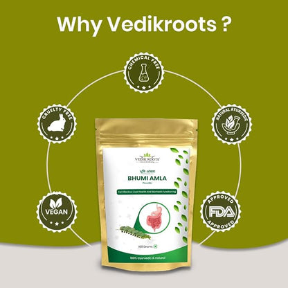 Vedikroots Bhumi Amla Powder/Churn - Organic And Pure Ingredient Extract For Healthy Liver Functioning And Digestive Strength Enriched With Essential Nutrients (100 GM) (100 g (Pack of 1))