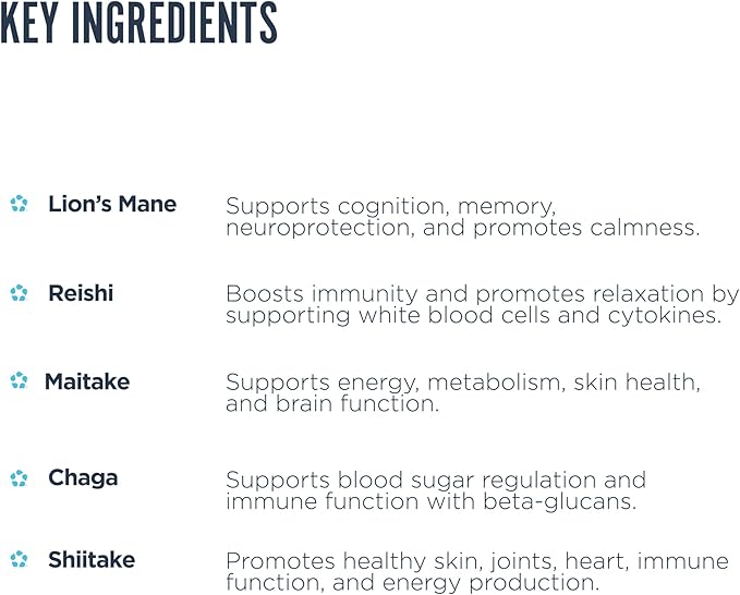 Revive MD Mushroom Powder, Chocolate - Mushroom Supplement Supports Focus, Cognitive, Immune & Brain Health with a Blend of Lion's Mane, Reishi, Chaga, Shiitake & Maitake - Gluten-Free - 30 Servings