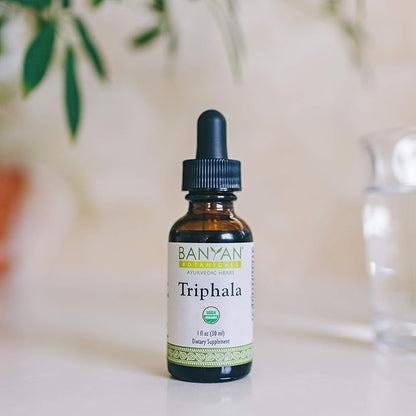 Banyan Botanicals Triphala Liquid Herbal Extract – Organic Triphala Extract with Amla, Haritaki & Bibhitaki – for Daily Detox, Regularity & Rejuvenation* – 1oz. – Non-GMO Sustainably Sourced Vegan