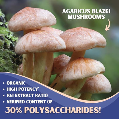 Agaricus Blazei Organic Mushroom Extract for Immune & Energy Support - 30% Polysaccharides & 180 Veggie Capsules - Non-GMO, Gluten-Free, Vegan-Friendly Supplement