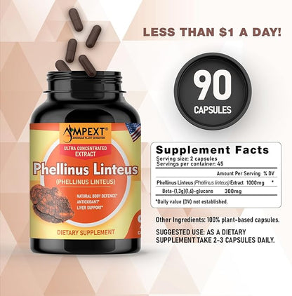 Phellinus linteus Mushroom Extract - Premium Quality, Only Fruiting Bodies, Antioxidant, Immunity Booster, Liver Support, 90 Veg Caps.