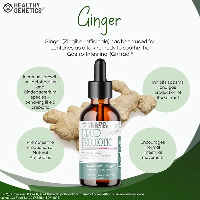 Liquid Probiotics for Women Men & Kids | Prebiotic +Ginger + Probiotics for Digestive Health | Acidophilus Probiotic | Dairy Free | Vegan | Non-GMO | Gluten Free | 30 Servings