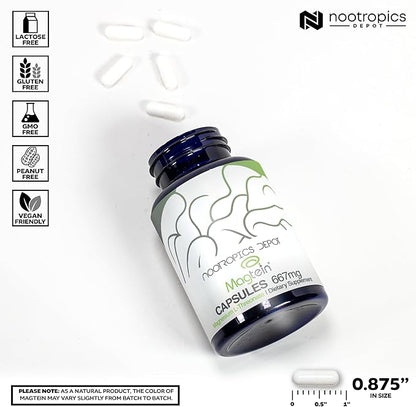 Nootropics Depot Magtein Magnesium L-Threonate Capsules | 180 Count | Mineral Supplement | Natural | Supports Mitochondrial Function | Boosts Energy and Cognitive Function