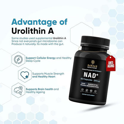 NAD+ Supplement for Anti Aging & Cell Regeneration | NMN Supplement Alternative - NAD with Resveratrol & Quercetin | Boosts Mitochondrial Health, Mental Clarity & Vitality | 60 Count | for Women & Men