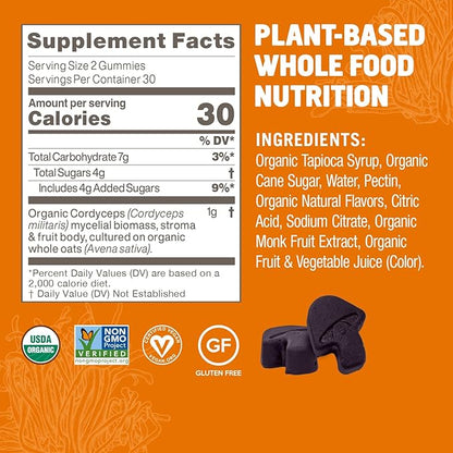 OM MUSHROOM SUPERFOOD Cordyceps Gummies, USA Grown Organic Mushrooms, Supports, Endurance, Energy, & Recovery, 60 Count, 30 Servings Gummy Supplements