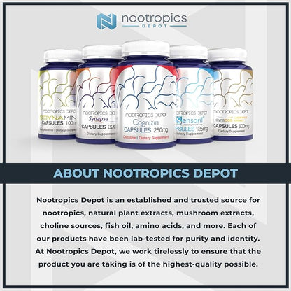 Nootropics Depot Rhodiola Rosea Capsules | 500mg | 3% Rosavins | 60 Count | Adaptogen Herb | Ayurvedic Supplement | Supports Healthy Stress Levels* | Promotes Brain Health*