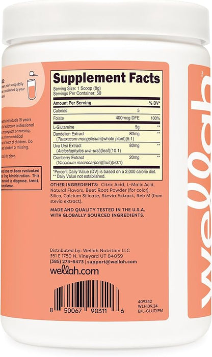 Wellah L-Glutamine Powder Tropical Punch (50 Servings) - 5g L-Glutamine Per Serving, Sweetened with Stevia