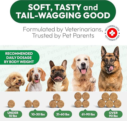 (2 Pack) Glucosamine for Dogs - 340 Mobility Chews - Advanced Hip and Joint Supplement for Dogs - Glucosamine Chondroitin - MSM - Joint Pain Relief - Made in USA