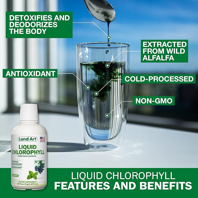 Land Art - Liquid Chlorophyll Mint – Cold-Extracted from Wild Non-GMO Alfalfa – Natural Clorofila Liquida – Antioxidant - Detox Supplement – Boost Energy – Alkalizing & Body Odor Neutralizer – 16 floz