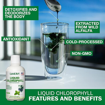 Land Art - Liquid Chlorophyll Mint – Cold-Extracted from Wild Non-GMO Alfalfa – Natural Clorofila Liquida – Antioxidant - Detox Supplement – Boost Energy – Alkalizing & Body Odor Neutralizer – 16 floz