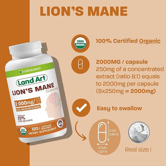 Land Art - Certified Organic Lion’s Mane – 2000mg – Memory, Focus & Mental Clarity – Nootropic Supplement for Cognitive Support – Multiple Extraction - Non-GMO - Vegan - Brain Health - 120 days supply