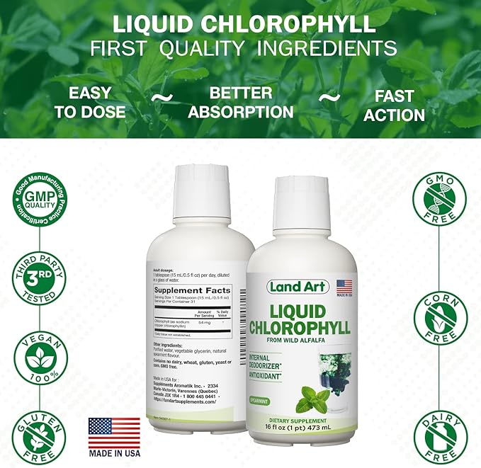 Land Art - Liquid Chlorophyll Mint – Cold-Extracted from Wild Non-GMO Alfalfa – Natural Clorofila Liquida – Antioxidant - Detox Supplement – Boost Energy – Alkalizing & Body Odor Neutralizer – 16 floz
