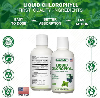 Land Art - Liquid Chlorophyll Mint – Cold-Extracted from Wild Non-GMO Alfalfa – Natural Clorofila Liquida – Antioxidant - Detox Supplement – Boost Energy – Alkalizing & Body Odor Neutralizer – 16 floz