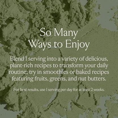 Sakara Protein + Greens Super Powder, 30 Servings - Organic Protein Powder Hemp, Pumpkin, Pea Protein, Organic Greens Powder Wheat Grass & Spirulina Superfood Powder, Vegan Protein Powder Greens Blend