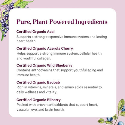 PURE SYNERGY Berry Power | Organic Berry and Fruit Powder | Antioxidant Supplement with Organic Acai, Camu Camu, and Wild Blueberry | for Healthy Aging, Immune, and Skin Support (5.3 oz Powder)