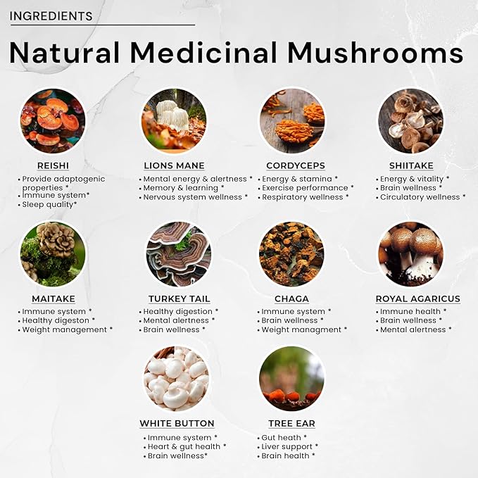 ACEWORKZ 10 Mushroom Complex Supplement - Lion’s Mane, Reishi, Cordyceps & More - Brain Health, Memory & Focus Nootropic - Energy & Immune Support (90 Capsules)