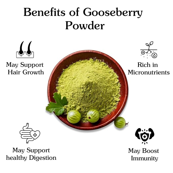 Ancient Roots Gooseberry Powder -100% Pure & Natural, Non-GMO, Gluten-Free, Finely Ground Amla for Smoothies, Teas, and Recipes, 10.5 oz Resealable Bag