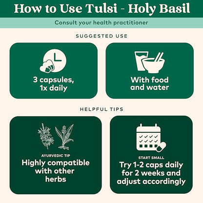 ORGANIC INDIA Tulsi Holy Basil Capsules - Holy Basil Extract - Holy Basil Leaf Supplement, Herbal Supplement, Immune Support, Stress Relief, Vegan, Gluten-Free, Kosher, Organic, Non-GMO - 60 Capsules
