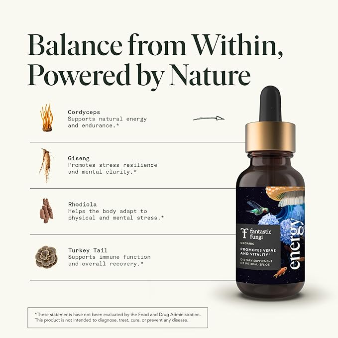 Cordyceps Mushroom Extract Liquid Fantastic Fungi Energy Elixir, 4-in-1 Vitality and Stress Support Supplement w/ Ginseng, Turkey Tail, Rhodiola - 100% Organic & Natural, 30 Servings, 1 fl oz
