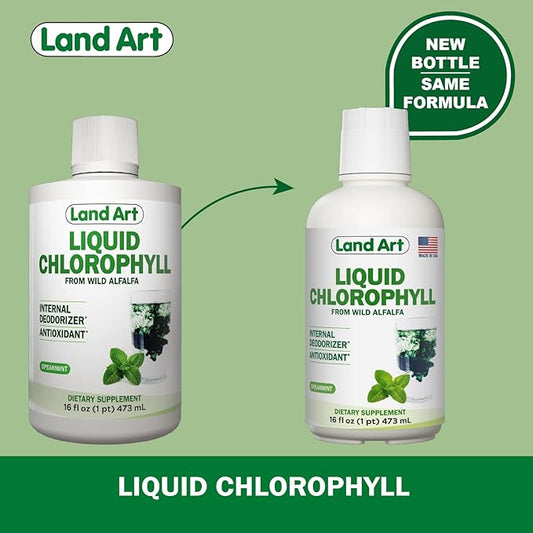 Land Art - Liquid Chlorophyll Mint – Cold-Extracted from Wild Non-GMO Alfalfa – Natural Clorofila Liquida – Antioxidant - Detox Supplement – Boost Energy – Alkalizing & Body Odor Neutralizer – 16 floz