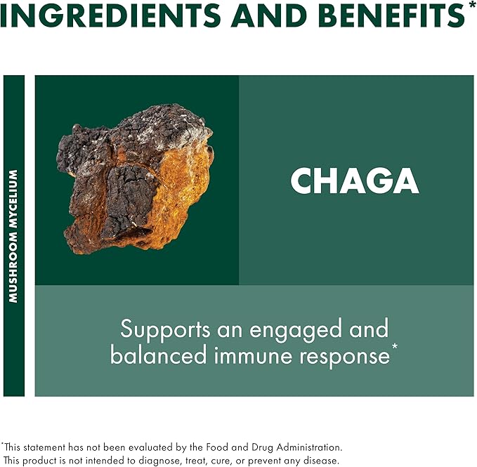Host Defense Chaga Capsules - Immune System Support Supplement - Chaga Mushroom Capsules for Antioxidant Activity Support - Dietary Mushroom Supplement - 120 Capsules (60 Servings)*