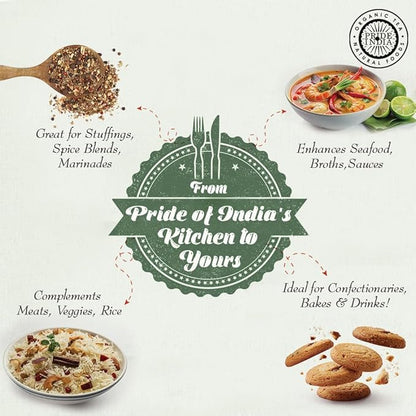Pride of India – Fennel Seed Whole – Gourmet Spice – Fresh & Aromatic – Mouth Freshener – GMO/Gluten Free – Flavoring for bakes, meat & more – Easy to Use – 8 oz. Medium Dual Sifter Jar