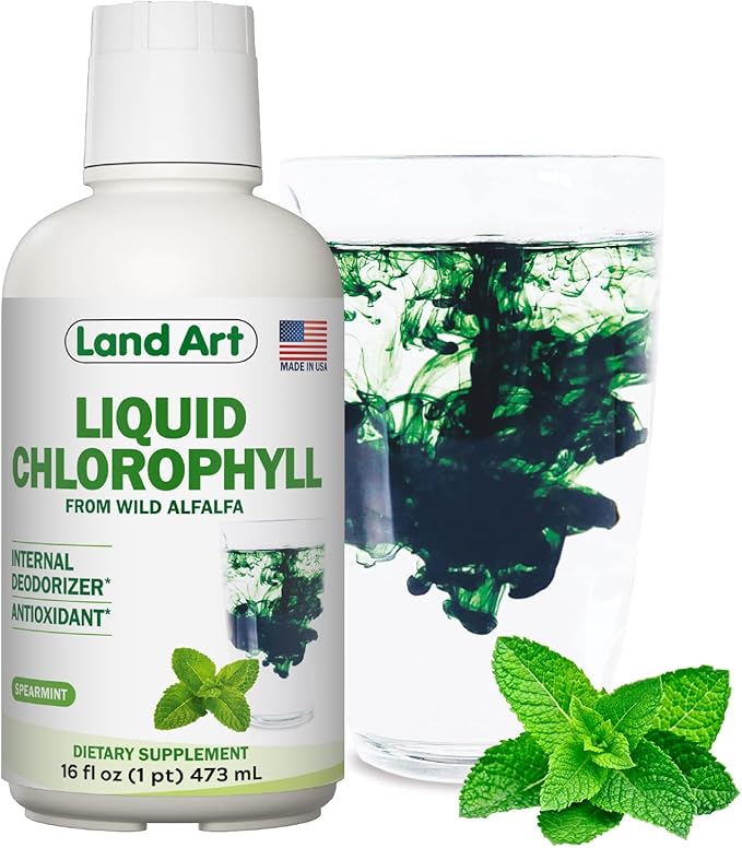 Land Art - Liquid Chlorophyll Mint – Cold-Extracted from Wild Non-GMO Alfalfa – Natural Clorofila Liquida – Antioxidant - Detox Supplement – Boost Energy – Alkalizing & Body Odor Neutralizer – 16 floz