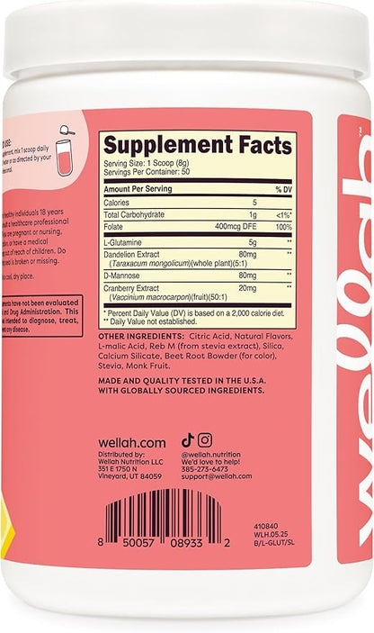 Wellah L-Glutamine Strawberry Lemonade Flavored (50 Servings) - 5g L-Glutamine Per Serving, Sweetened with Stevia
