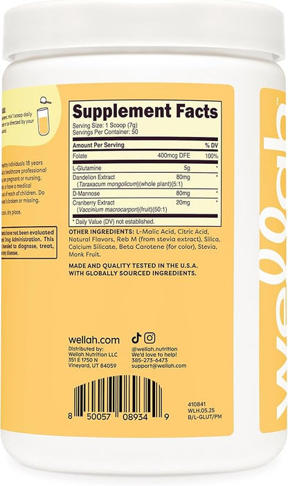 Wellah L-Glutamine Peach Mango (50 Servings) - 5g L-Glutamine Per Serving, Sweetened with Stevia