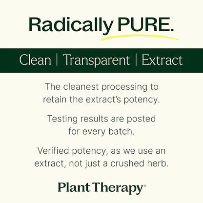 Plant Therapy Holy Basil Capsules Manufactured in USA 4 Month Supply Supports Emotional Stability, Positive Mood, Combats Fatigue & Mental Tension Supplements for Women & Men 120 Vegetarian Capsule