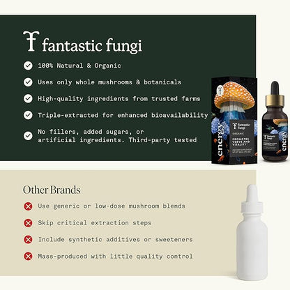 Cordyceps Mushroom Extract Liquid Fantastic Fungi Energy Elixir, 4-in-1 Vitality and Stress Support Supplement w/ Ginseng, Turkey Tail, Rhodiola - 100% Organic & Natural, 30 Servings, 1 fl oz
