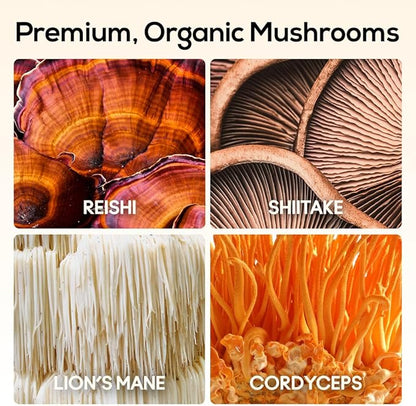 TrueMushroom - Immunity, Focus & Memory, Energy Mushroom Gummies with Lion’s Mane, Cordyceps, Reishi, Shiitake All-Natural Supplement with Ginger & Turmeric. Ginger Mango Flavor (60 Count)