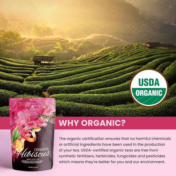Gardenika Organic Cinnamon Hibiscus Loose Leaf Tea | Natural & Antioxidant Rich | Caffeine-Free | 55+ Cups | USDA Organic & Kosher | 4 oz