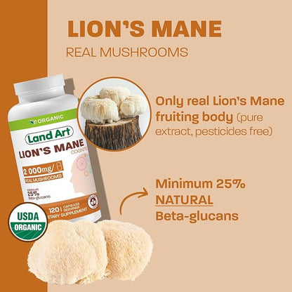 Land Art - Certified Organic Lion’s Mane – 2000mg – Memory, Focus & Mental Clarity – Nootropic Supplement for Cognitive Support – Multiple Extraction - Non-GMO - Vegan - Brain Health - 120 days supply