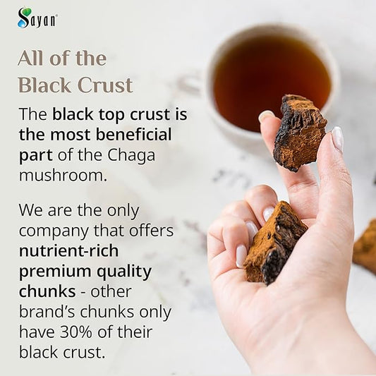 Sayan Siberian Pure Raw Chaga Mushroom Chunks with Black Top Crust 8 Oz / 223 g – Premium Wild-Harvested Antioxidant Tea for Immune Support, Focus and Digestive Health - Non-GMO