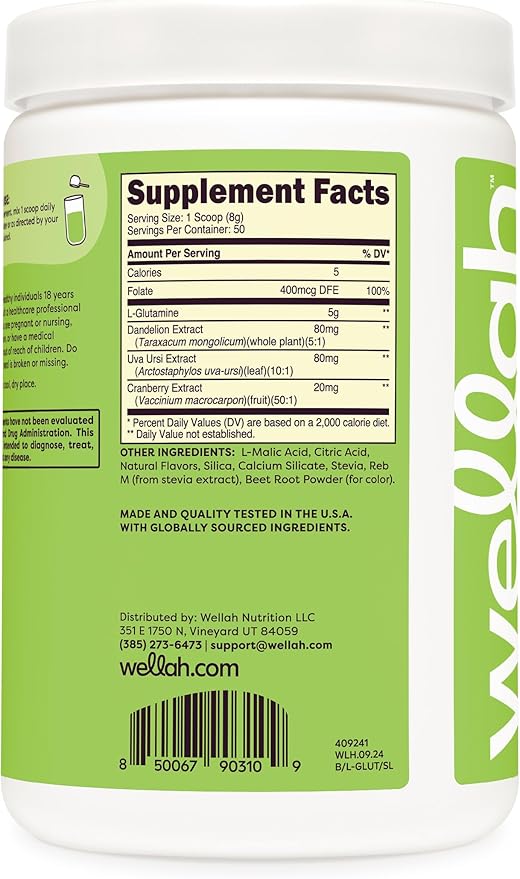 Wellah L-Glutamine Powder Strawberry Kiwi (50 Servings) - 5g L-Glutamine Per Serving, Sweetened with Stevia