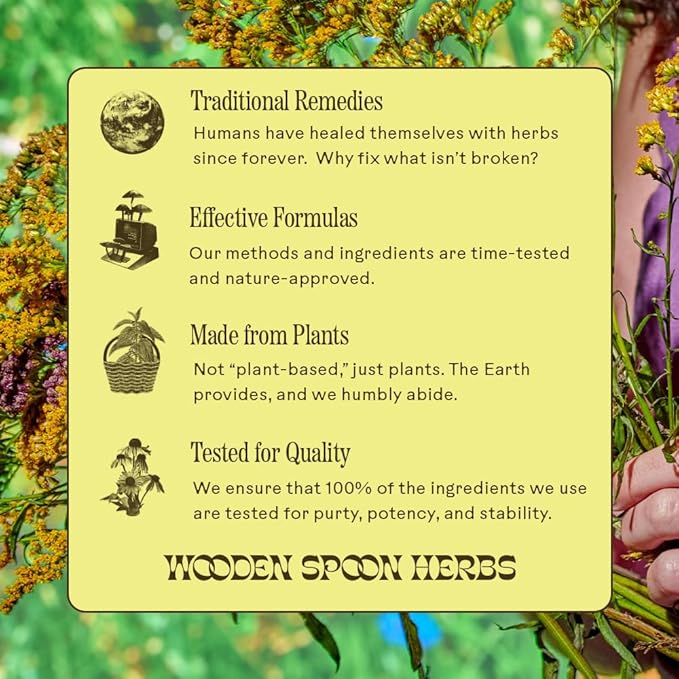 Wooden Spoon Herbs - Brain Bloom Supplement | Boosts Memory, Focus, Concentration, & Mental Agility | Organic Rosemary, Bacopa, & Lion’s Mane Supplement | Gluten-Free, Non-GMO, Vegan (60 CT, Capsules)