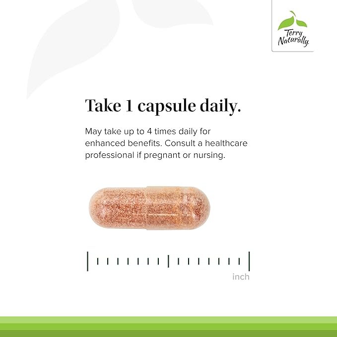 Terry Naturally Clinical OPC - Cardiovascular Health & Focus Support Supplement - Dietary Supplement with Grape Seed Extract & Sunflower Lecithin - Immune Support Supplement - 150 mg - 60 Capsules