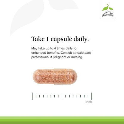 Terry Naturally Clinical OPC - Cardiovascular Health & Focus Support Supplement - Dietary Supplement with Grape Seed Extract & Sunflower Lecithin - Immune Support Supplement - 150 mg - 60 Capsules