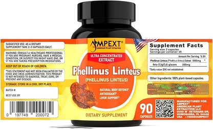 Phellinus linteus Mushroom Extract - Premium Quality, Only Fruiting Bodies, Antioxidant, Immunity Booster, Liver Support, 90 Veg Caps.