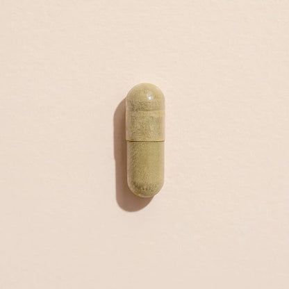 Plant Therapy Holy Basil Capsules Manufactured in USA 4 Month Supply Supports Emotional Stability, Positive Mood, Combats Fatigue & Mental Tension Supplements for Women & Men 120 Vegetarian Capsule