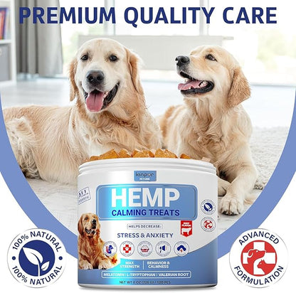 Joint Supplement for Dogs - Dog Joint Supplement with Glucosamine, Chondroitin, MSM - Supports Hip and Joint Heath, Better Mobility, Skin and Coat - for All Breeds and Ages - 120 Dog Chews, Beef