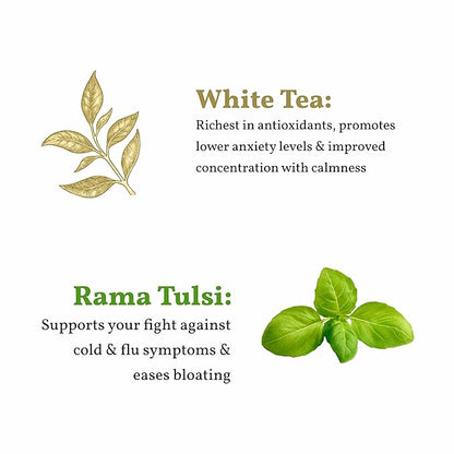 Sancha Tea Boutique Tulsi White Tea | 25 Pyramid Bags | Indian Holy Basil Leaves with Silver Needle White Tea | Rich in Antioxidants & Wellness