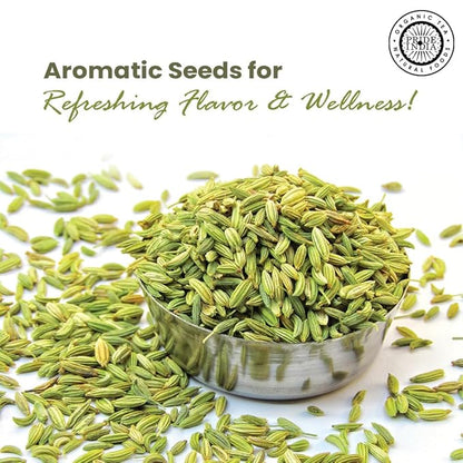 Pride of India – Fennel Seed Whole – Gourmet Spice – Fresh & Aromatic – Mouth Freshener – GMO/Gluten Free – Flavoring for bakes, meat & more – Easy to Use – 8 oz. Medium Dual Sifter Jar
