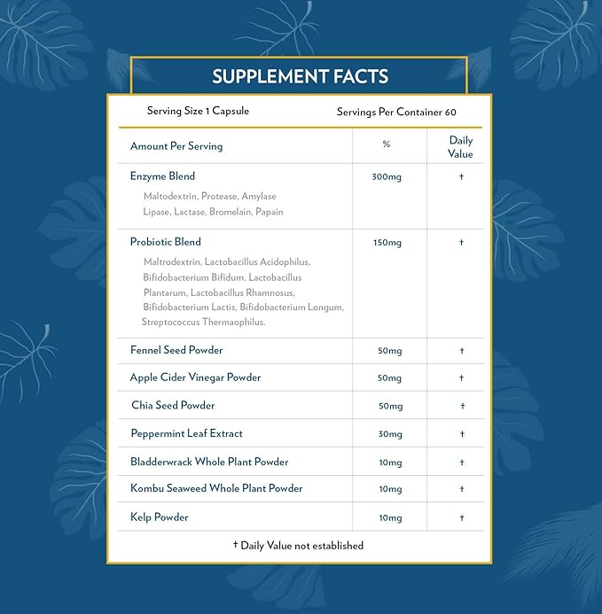 TERRA ORIGIN Digestive Enzymes with Probiotics & Prebiotics | 60 Capsules | Supports Digestive Gut Health | Non GMO, Gluten Free, Vegan | for Women and Men