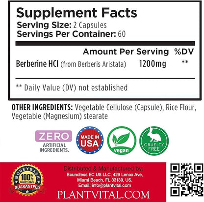 Plantvital Berberine 1200mg (2 caps) Non-GMO Supplement for Immunity Support and Normal Cardiovascular Health - 240 Count, Vegan, and Made in The USA