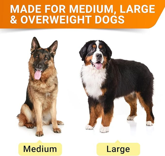 Senior Advanced Glucosamine Joint Supplement for Dogs - Hip & Joint Pain Relief - Small + Large Breeds -Omega-3 Fish Oil - Chondroitin, MSM- Mobility Soft Chews for Older Dogs - Bacon Flavor - 240Ct